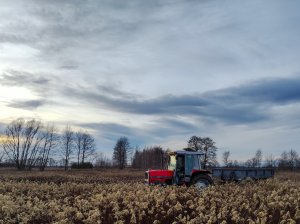 Massey Ferguson 3060