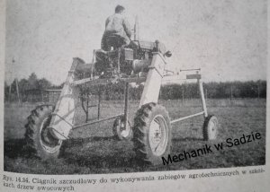 Ursusy w sadownicwie