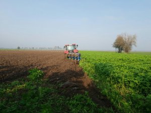 Case Maxxum 125+ overum xcelsior cx 4975f na ażurach