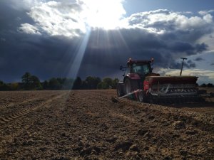 case maxxum 125, agro-masz, pottinger