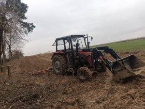 Massey Ferguson255 brony4