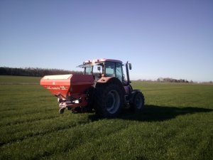 Nawożenie festulolium