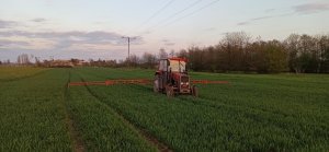 Massey Ferguson 255&Biardzki