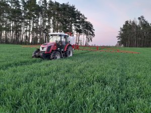 Zetor Proxima 100 Power & Lisicki