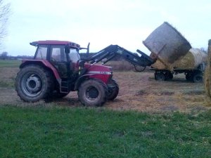 Case IH 5130 Maxxum i Baas Trima 280P
