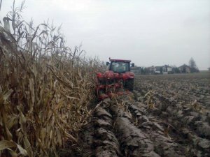 Case IH Maxxum mc + Akpil KM180