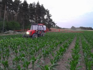 Zetor 7340 & Lisicki