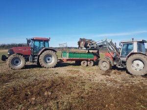 Case mx 135 + rozrzutnik 6t + massey Ferguson 3085