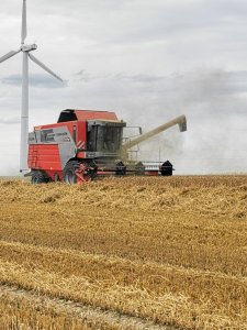 Massey Ferguson Cerea 7256 RS