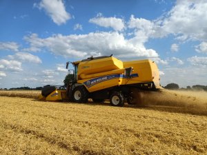 New Holland w Sandrze