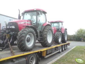 Case Maxxum 120 i Cvx 195