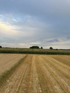 Kukurydza pionier i farmsaat