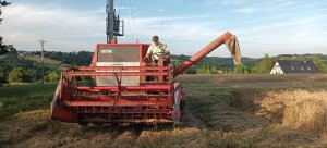 massey ferguson 206