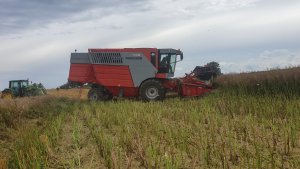 Massey Ferguson 7256