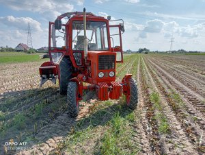 Mtz 80 & pz 80s