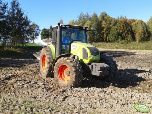 Claas Arion 430