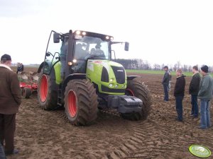 Claas Arion 540 + Ibis LS