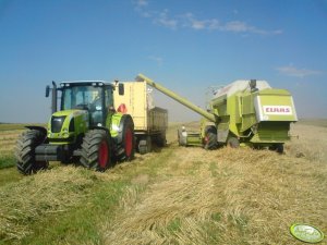 Claas Arion 630 C i Claas Dominator 96