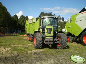 Claas Arion 630