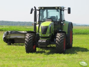 Claas Arion 630