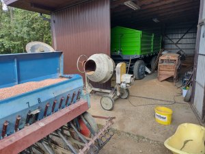 Czyszczenie i zaprawianie pszenicy