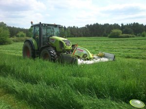 Claas Arion 420 CIS + Claas Disco 3100 F Profil