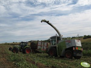 Claas Arion 630 + przyczepa & Claas Jaguar 840