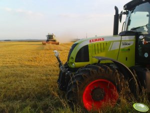 Claas Arion 630