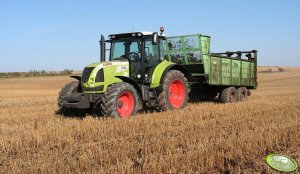 Claas Arion