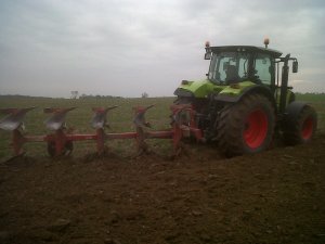 Claas Arion 620 & unia ibis