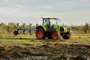 Claas Arion 620 i Overum Xcelsior