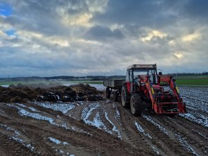 Zetor 7745 + Przyczepa