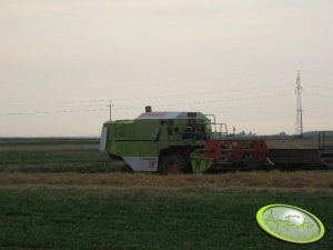 Claas Dominator 56