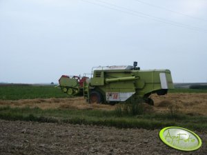 Claas Dominator 56