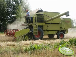 Claas Dominator 56