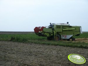 Claas Dominator 56