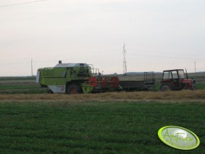 Claas Dominator 56