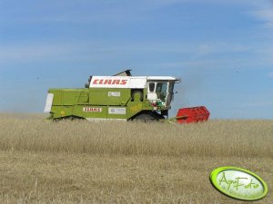 Claas Dominator 96