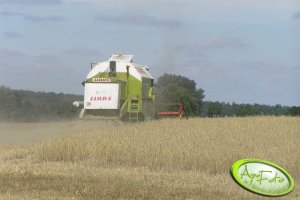 Claas Dominator 96