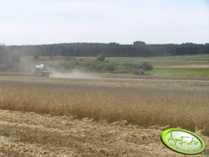 Claas Dominator 96