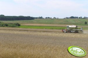 Claas Dominator 96