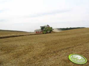 Claas Dominator 98 SL