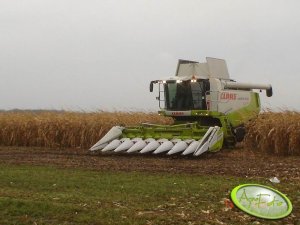 Claas Lexion 570