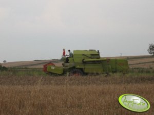 Claas