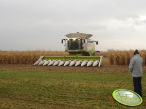 Claas Lexion 600