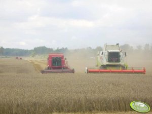 Claas Lexion 480 & Case 2188