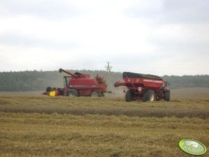 HORSCH UW 160 & McCORMICK MTX 200