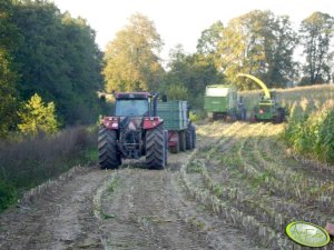 Case & McCormick & John Deere