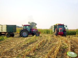 McCormick 135 & MTX 150