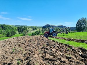 Massey Ferguson 6290